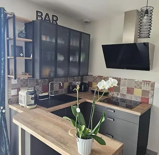 L'al'oe - 2kms Du Puy Dufou Les Épesses